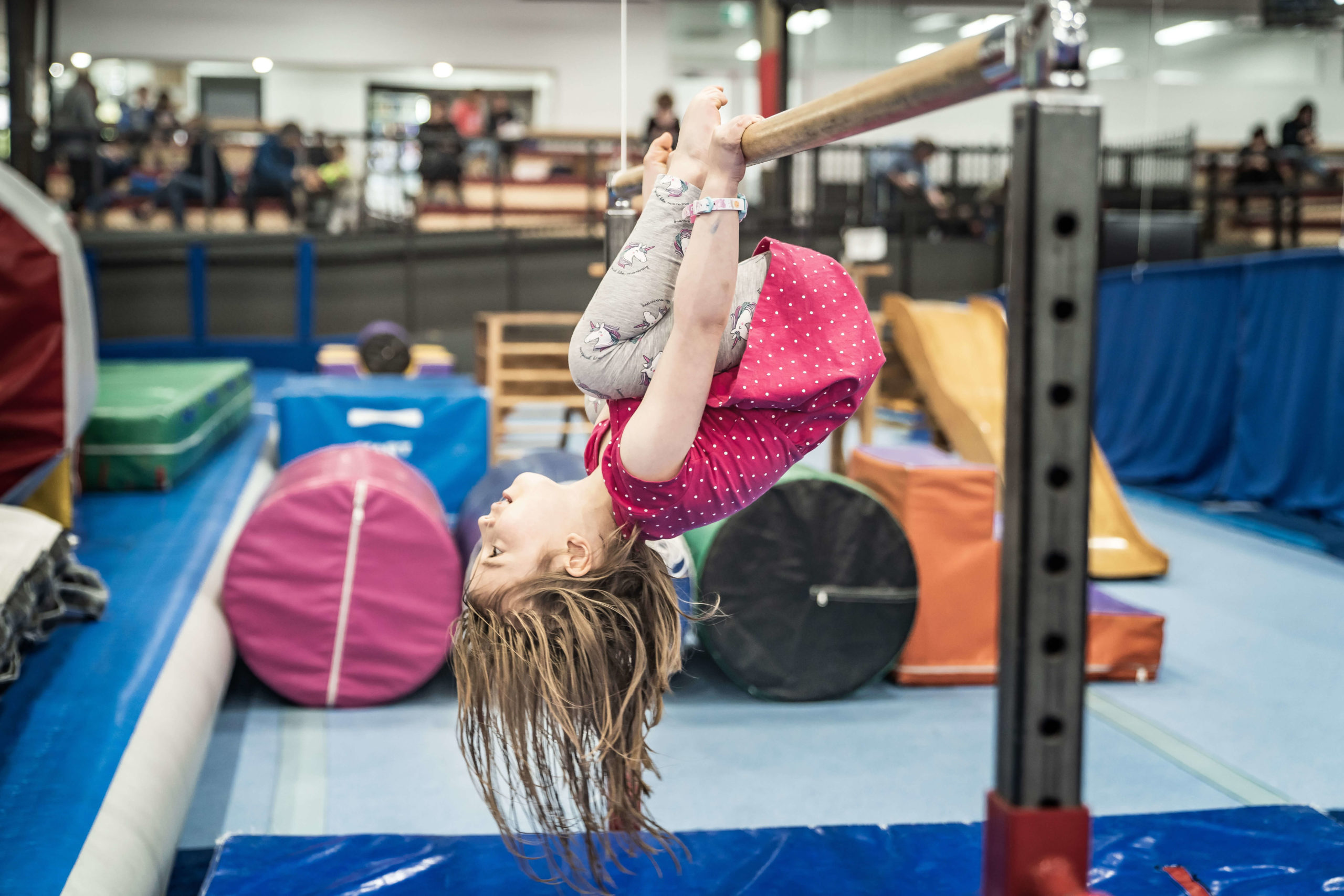 Learn to Gym Cover Image